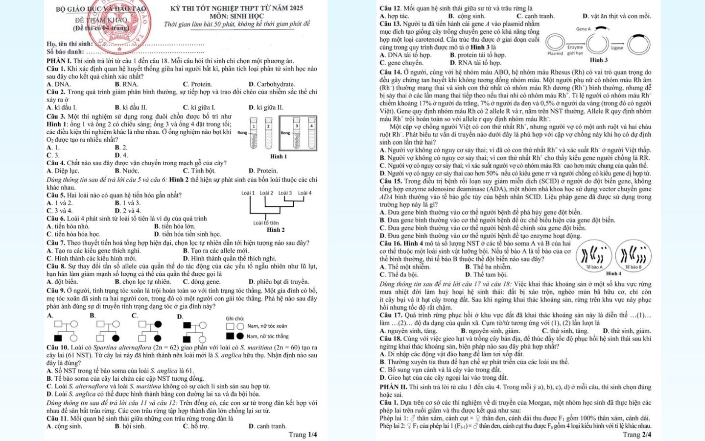 Trọn bộ đề thi thử tốt nghiệp THPT 2025 môn Sinh học có đáp án 1 Đề thi thử THPT Quốc gia 2025 môn Sinh học