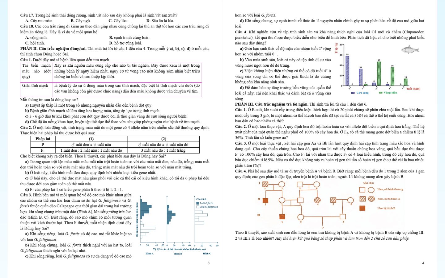 Trọn bộ đề thi thử tốt nghiệp THPT 2025 môn Sinh học có đáp án 25 Tham khảo đề thi thử tốt nghiệp THPT 2025 môn sinh học trường THPT Hùng Vương (Hưng Yên)