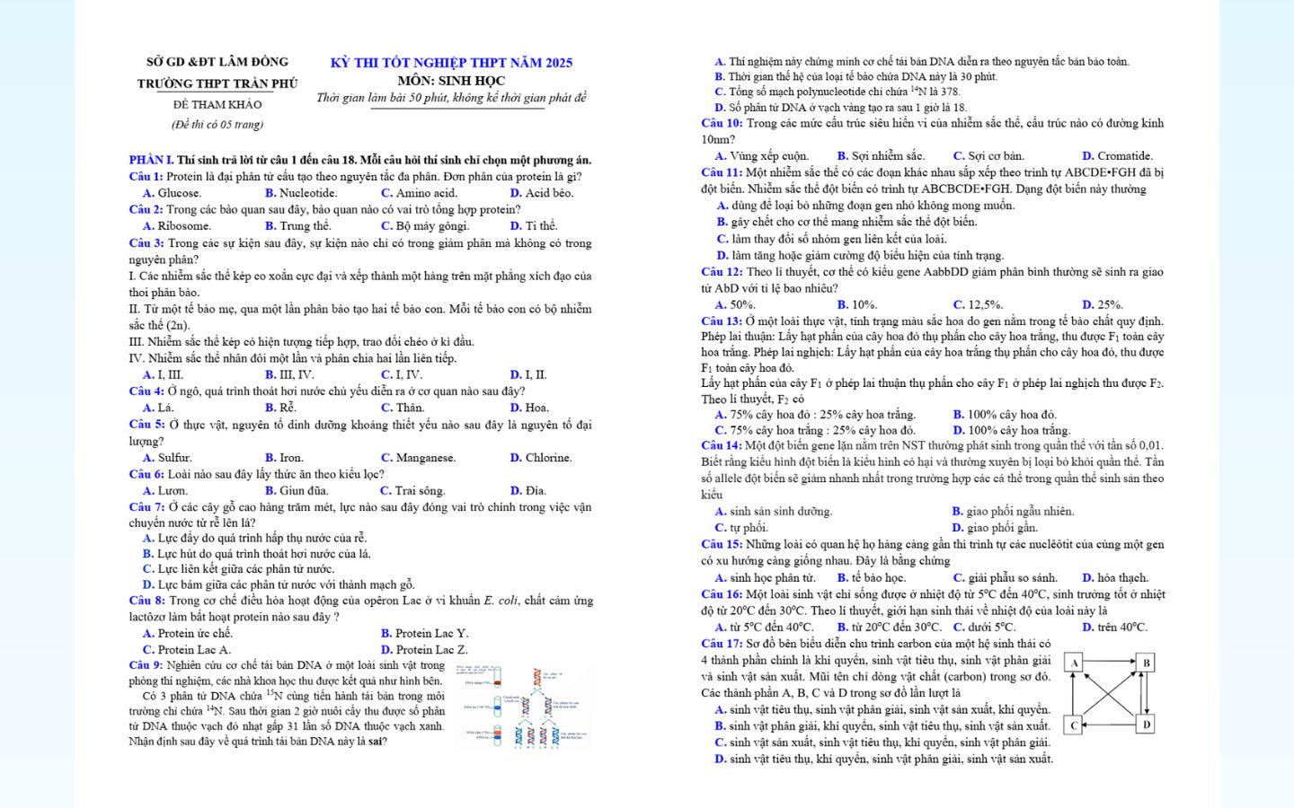 Trọn bộ đề thi thử tốt nghiệp THPT 2025 môn Sinh học có đáp án 27 Đề thi thử tốt nghiệp THPT 2025 môn sinh học trường THPT Trần Phú (Lâm Đồng)