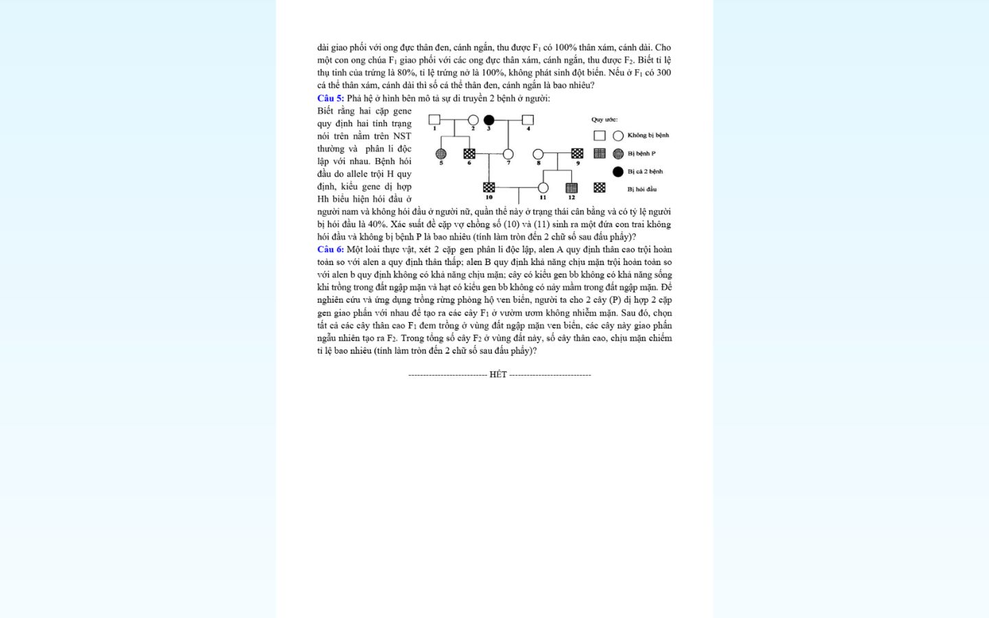 Trọn bộ đề thi thử tốt nghiệp THPT 2025 môn Sinh học có đáp án 29 Chi tiết đề thi thử tốt nghiệp THPT 2025 môn sinh học trường THPT Trần Phú (Lâm Đồng)