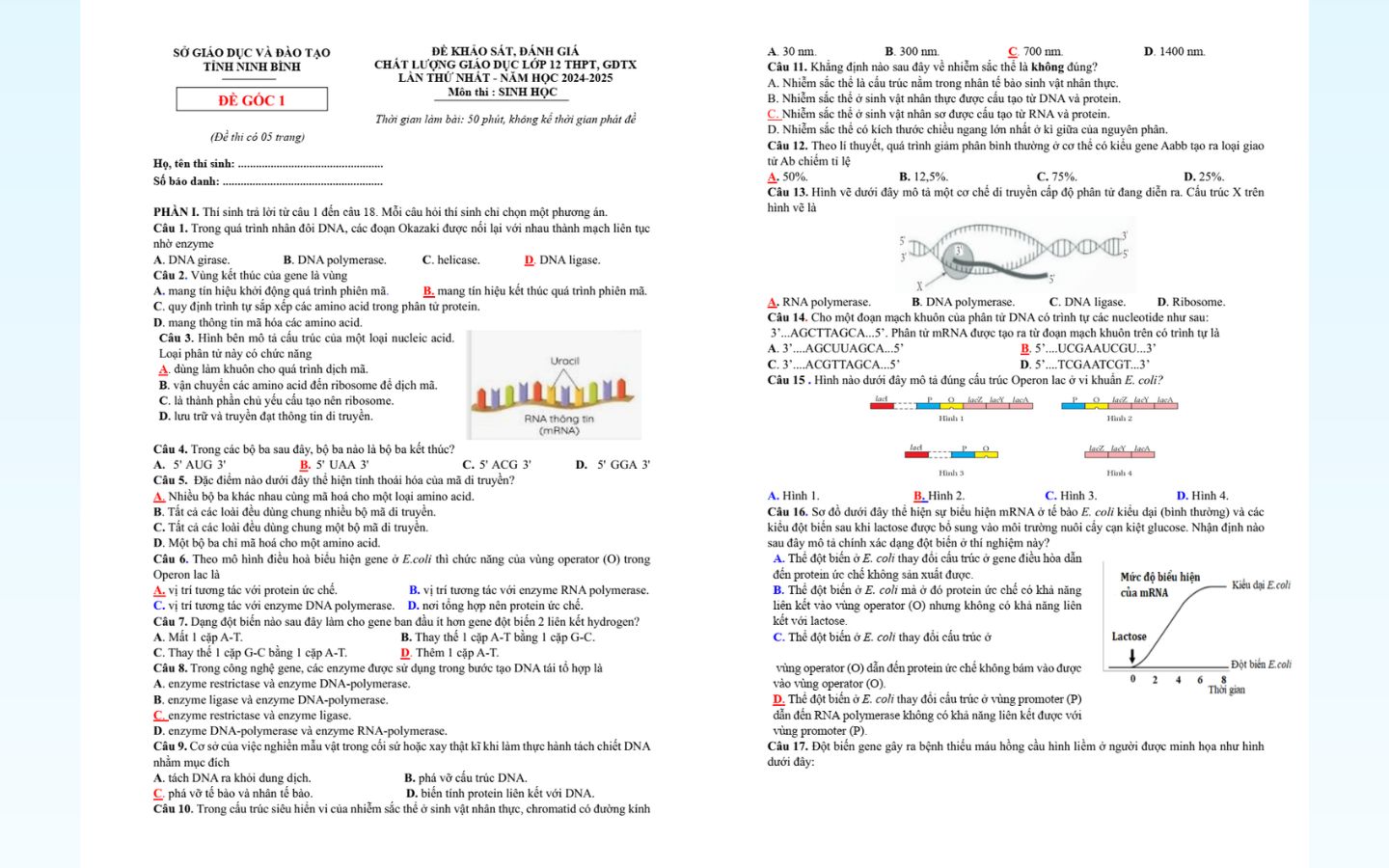 Trọn bộ đề thi thử tốt nghiệp THPT 2025 môn Sinh học có đáp án 14 Đề thi thử tốt nghiệp THPT 2025 môn sinh học tỉnh Ninh Bình có đáp án