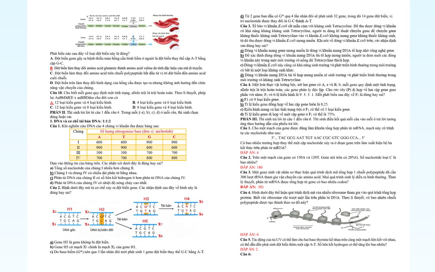 Trọn bộ đề thi thử tốt nghiệp THPT 2025 môn Sinh học có đáp án 15 Tham khảo chi tiết đề thi thử tốt nghiệp THPT 2025 môn sinh học tỉnh Ninh Bình