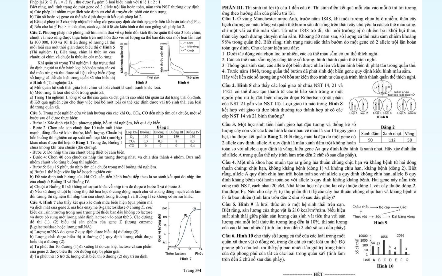 Trọn bộ đề thi thử tốt nghiệp THPT 2025 môn Sinh học có đáp án 2 Đề thi thử THPT Quốc gia 2025 môn Sinh học có đáp án