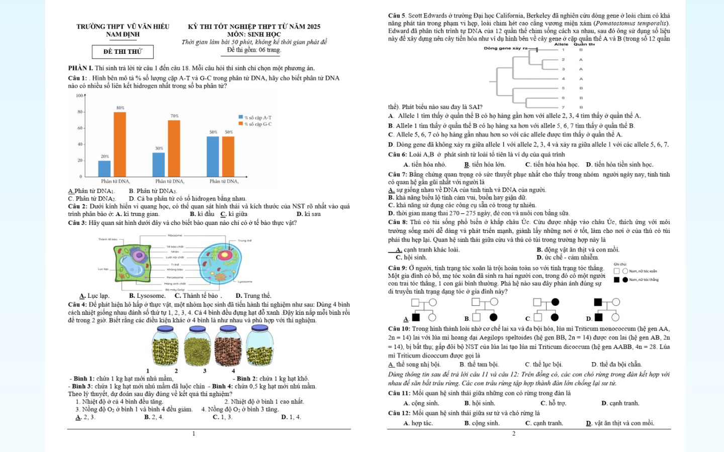Trọn bộ đề thi thử tốt nghiệp THPT 2025 môn Sinh học có đáp án 19 Đề thi thử tốt nghiệp THPT 2025 môn sinh học trường THPT Vũ Văn Hiếu (Nam Định)