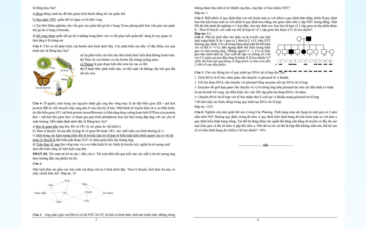 Trọn bộ đề thi thử tốt nghiệp THPT 2025 môn Sinh học có đáp án 21 Chi tiết đề thi thử tốt nghiệp THPT 2025 môn sinh học trường THPT Vũ Văn Hiếu (Nam Định)