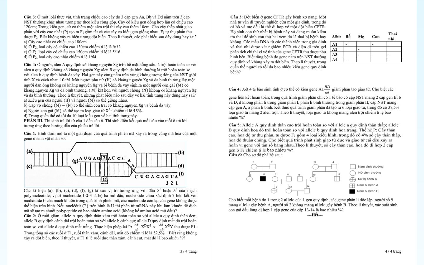 Trọn bộ đề thi thử tốt nghiệp THPT 2025 môn Sinh học có đáp án 23 Tham khảo đề thi thử tốt nghiệp THPT 2025 môn sinh học trường THPT Hà Trung (Thừa Thiên Huế)