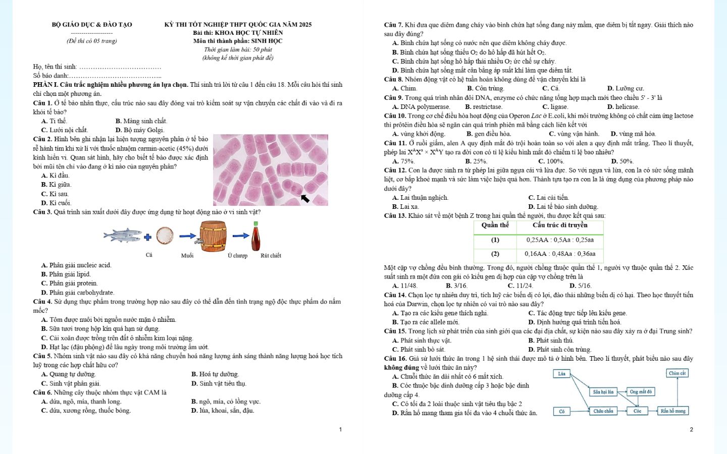 Trọn bộ đề thi thử tốt nghiệp THPT 2025 môn Sinh học có đáp án 24 Đề thi thử tốt nghiệp THPT 2025 môn sinh học trường THPT Hùng Vương (Hưng Yên)