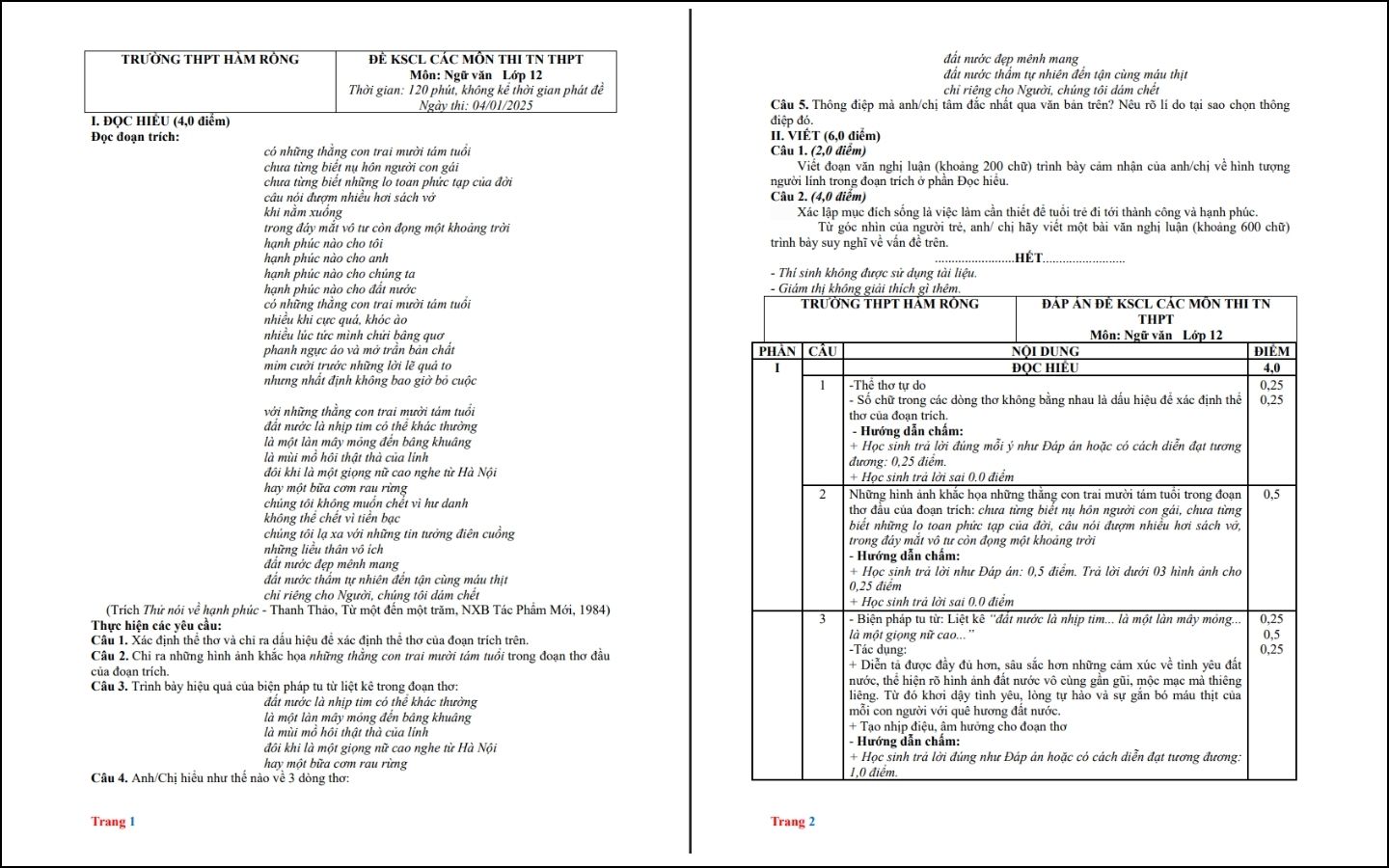 Đề thi thử THPT năm 2025 môn Ngữ văn - THPT Hàm Rồng, Thanh Hóa - Trang 1-2