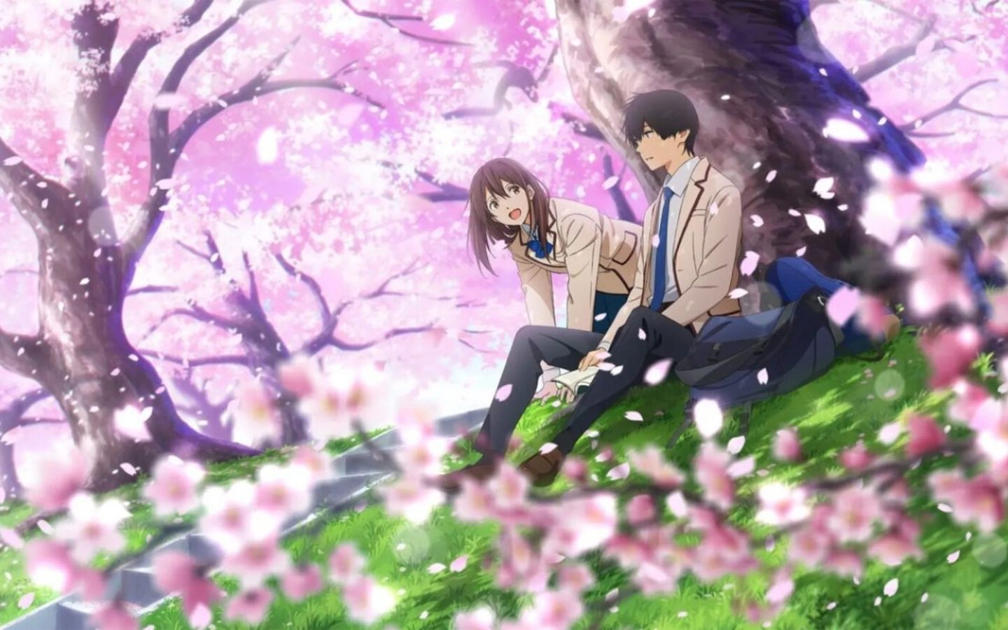 2 nhân vật anime ngắm hoa anh đào cùng nhau