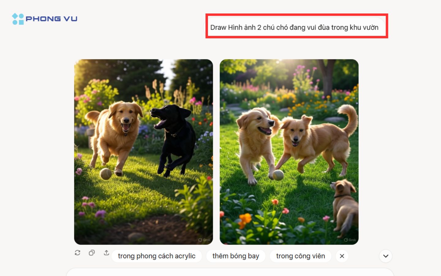  2 chú chó đang vui đùa