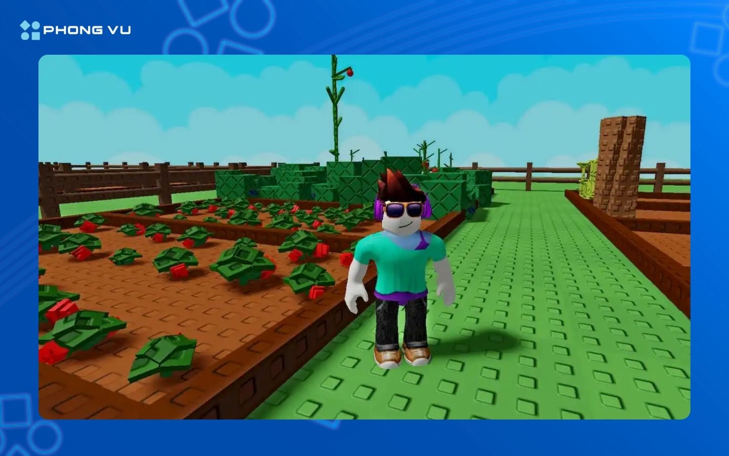 Lưu ý khi nhập code Grow Garden