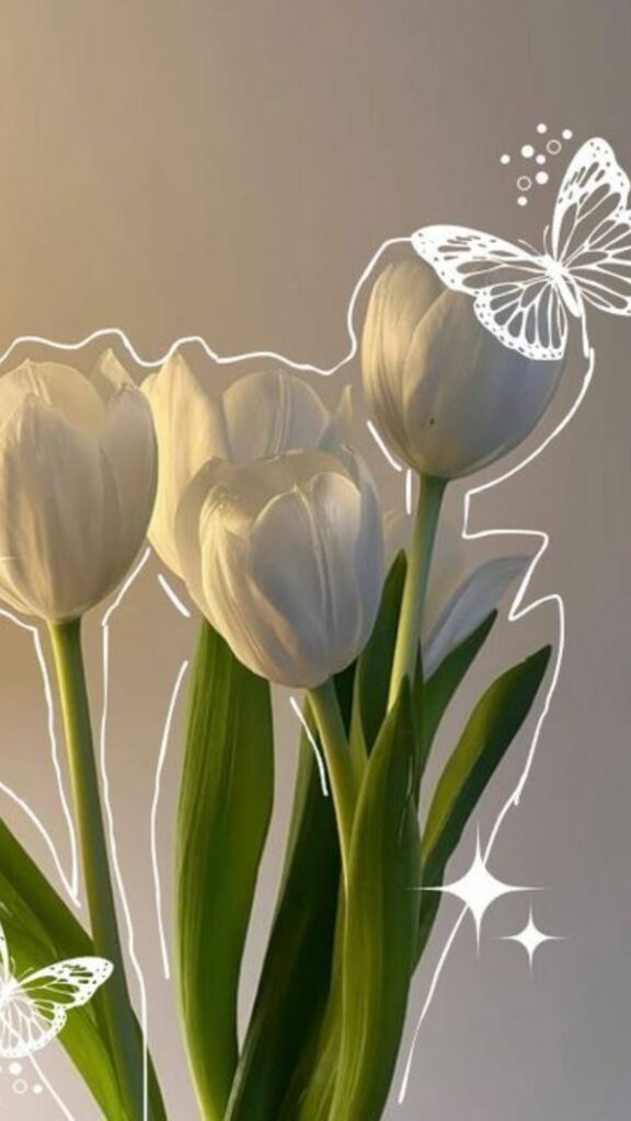 hinh nen hoa tulip 21