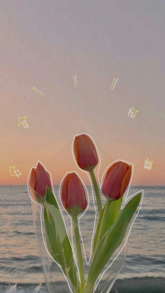 hinh nen hoa tulip 24