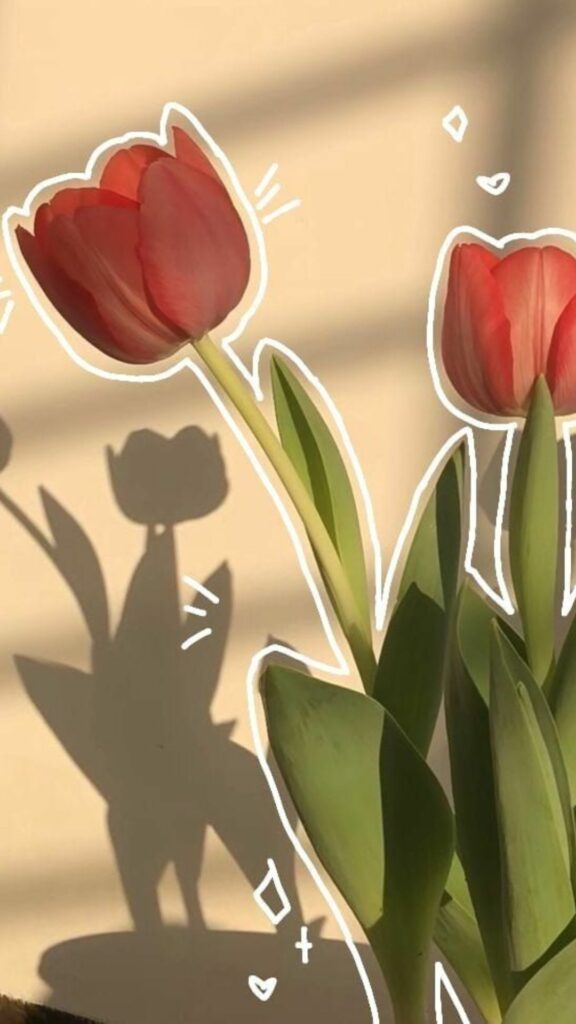 hinh nen hoa tulip 26