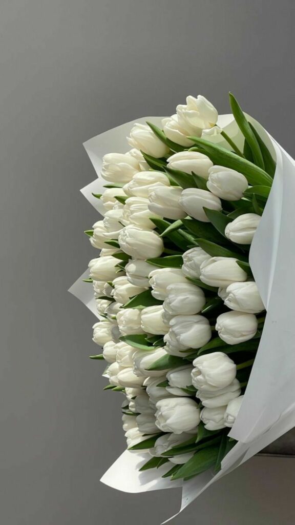 hinh nen hoa tulip 9