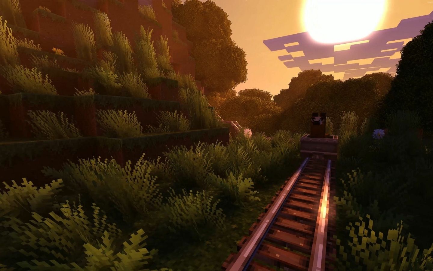 Đường ray xe lửa xuyên qua rừng cây xanh mát