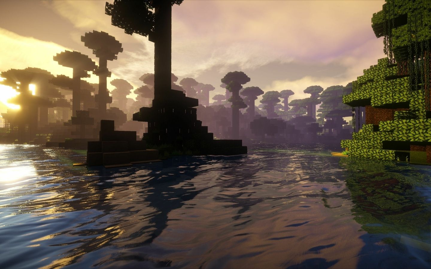 Bình minh trên vùng đầm lầy, ánh sáng rực rỡ