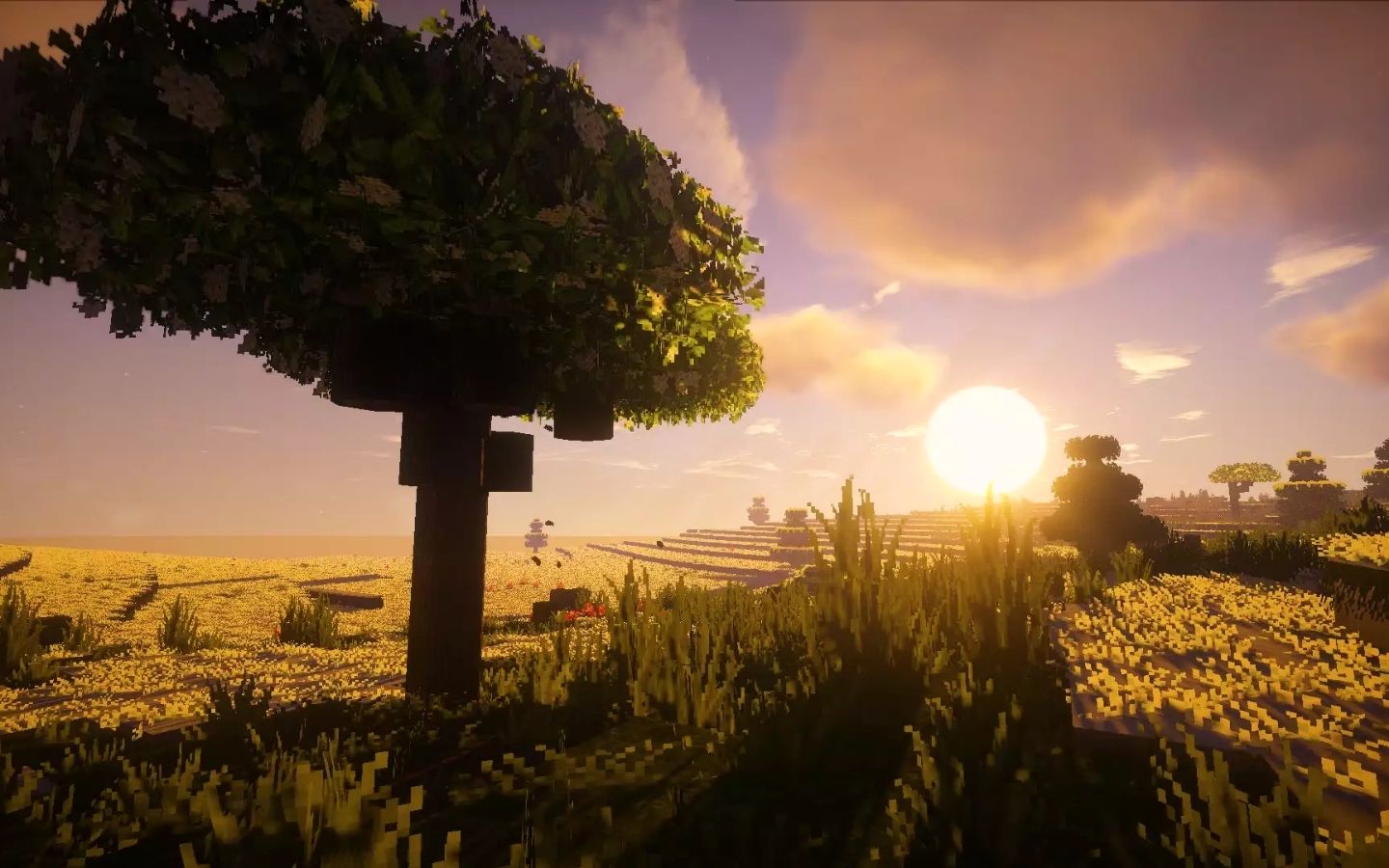 Cây cô đơn dưới ánh hoàng hôn huyền ảo