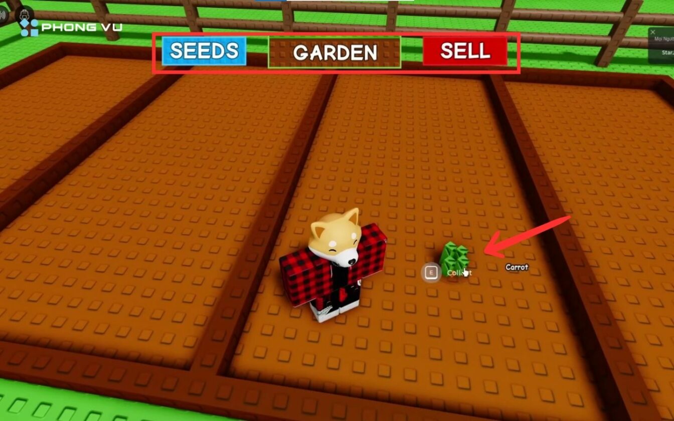 grow a garden ph🇵🇭 |... Hướng Dẫn Chơi Grow A Garden Chi Tiết Cho Người Mới Bắt đầu