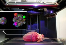 Các nhà khoa học in 3D khối u để nghiên cứu ung thư Nhà khoa học TissueTinker in 3D khối u để nghiên cứu ung thư, hứa hẹn cải thiện điều trị nhưng đối mặt thách thức chi phí và công nghệ.