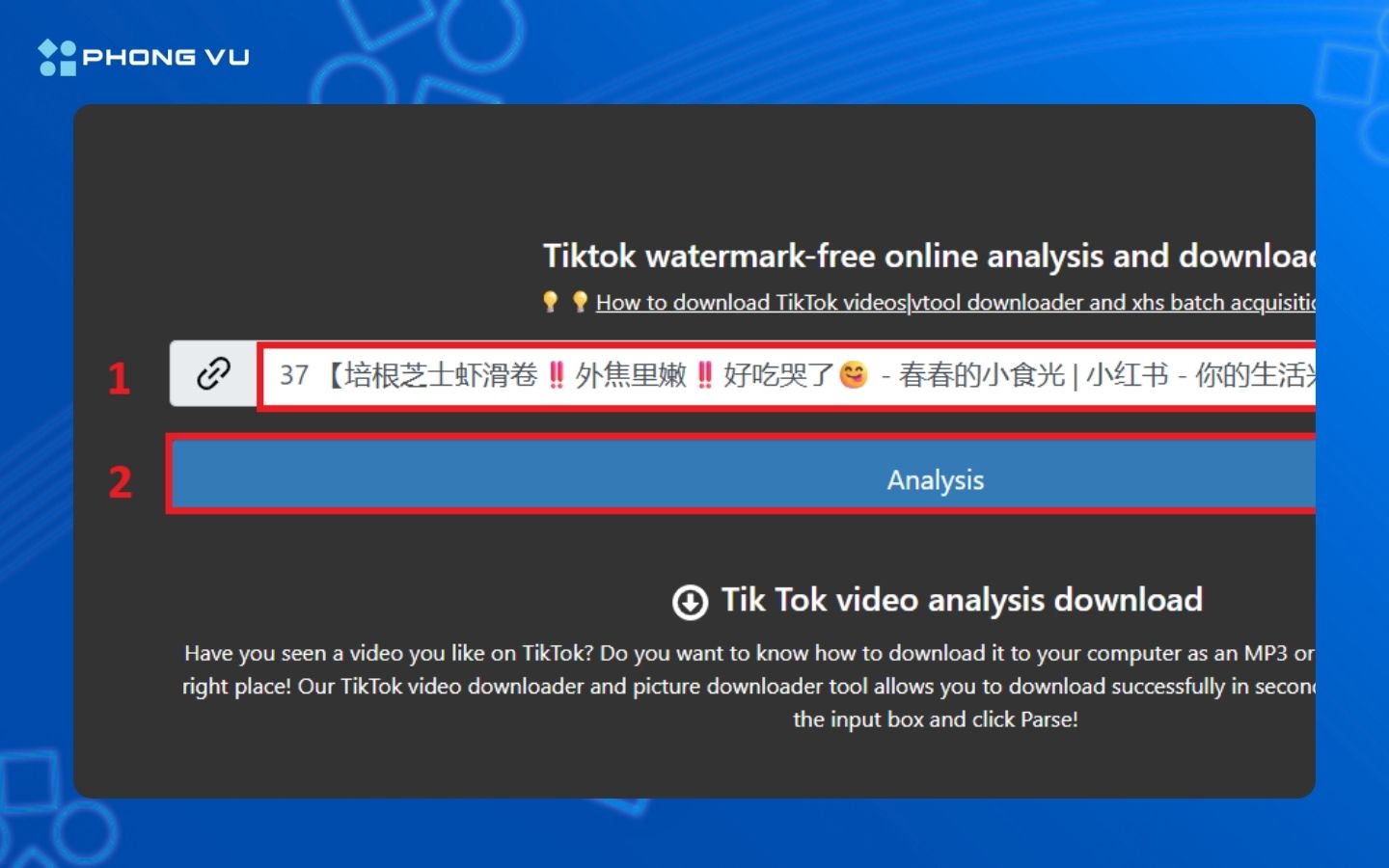 Dán liên kết vừa sao chép và chọn Analysis