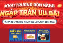 Mừng khai trương Phong Vũ Đồng Tháp: Săn deal công nghệ cực hấp dẫn Tưng bừng khai trương Phong Vũ Đồng Tháp