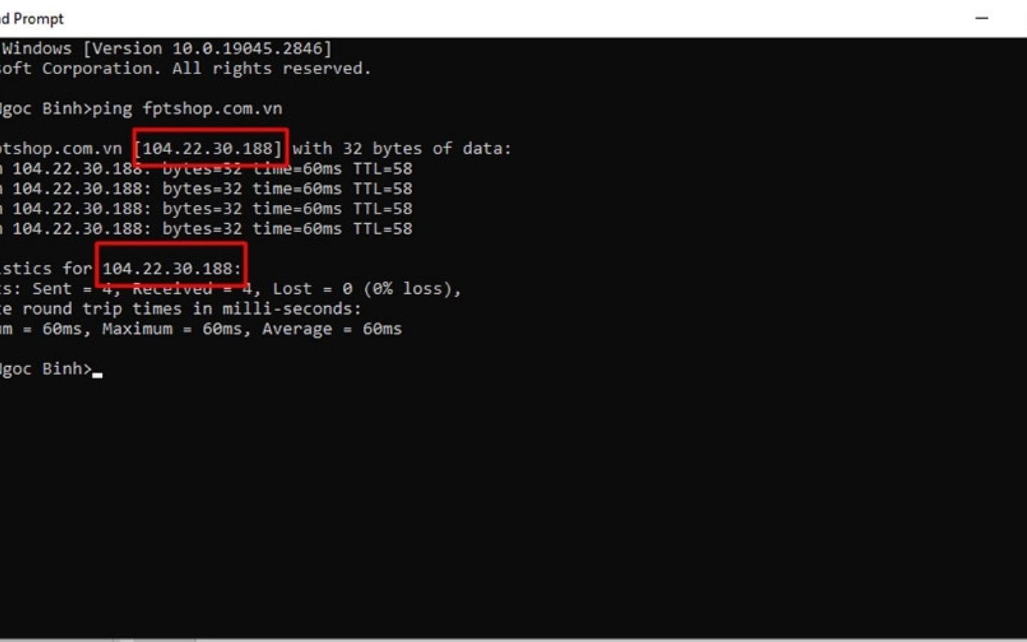 Tìm địa chỉ IP trang web. (Nguồn: Internet)