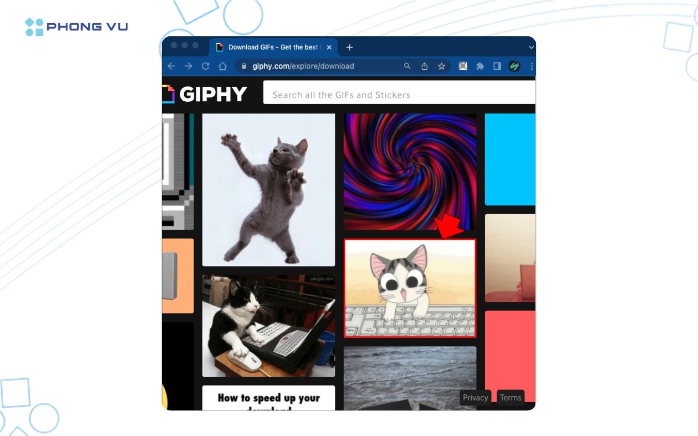 Cách tải hình nền động cho máy tính vừa nhanh vừa đẹp 8 Tải xuống GIF yêu thích của bạn từ internet.