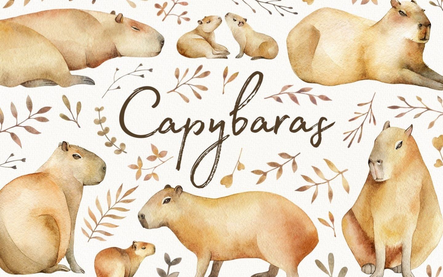Hình nền Capybara dễ thương và siêu đáng yêu