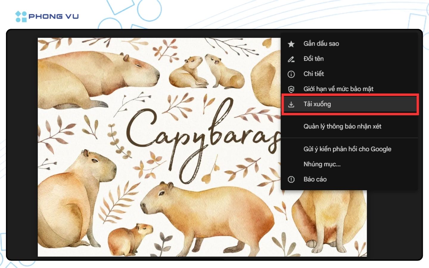 Tải xuống hình nền Capybara