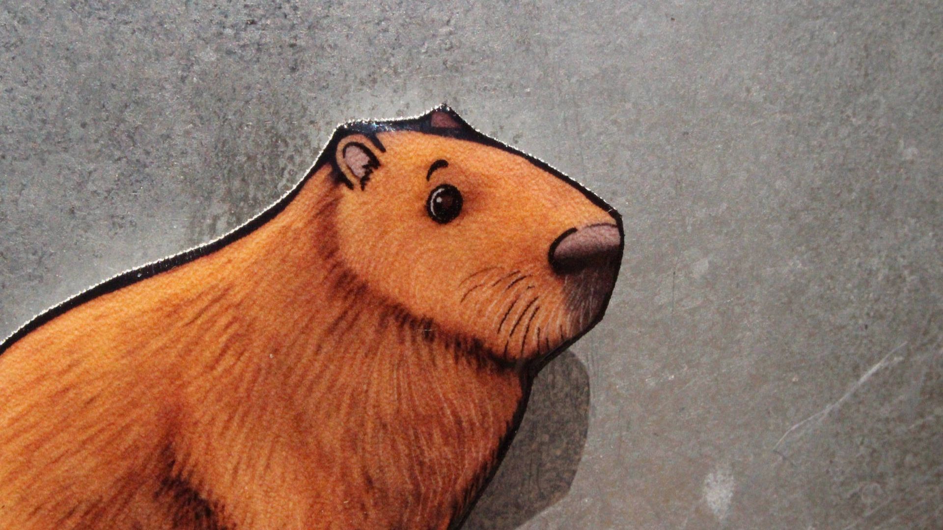 Chú capybara đang dựa vào tường, với vẻ mặt trầm tư