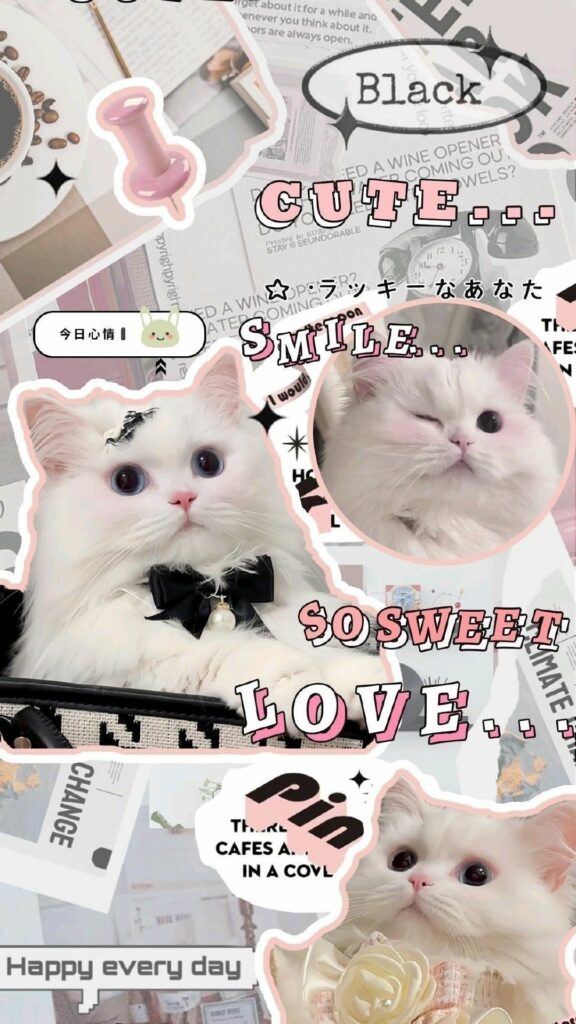 hinh nen cute co chu 11