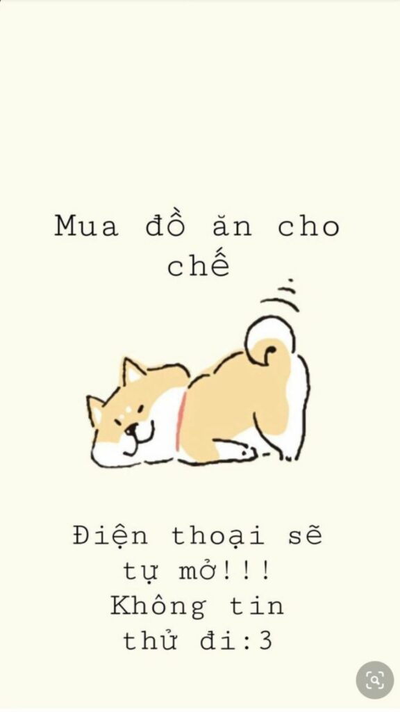 hinh nen cute co chu 3