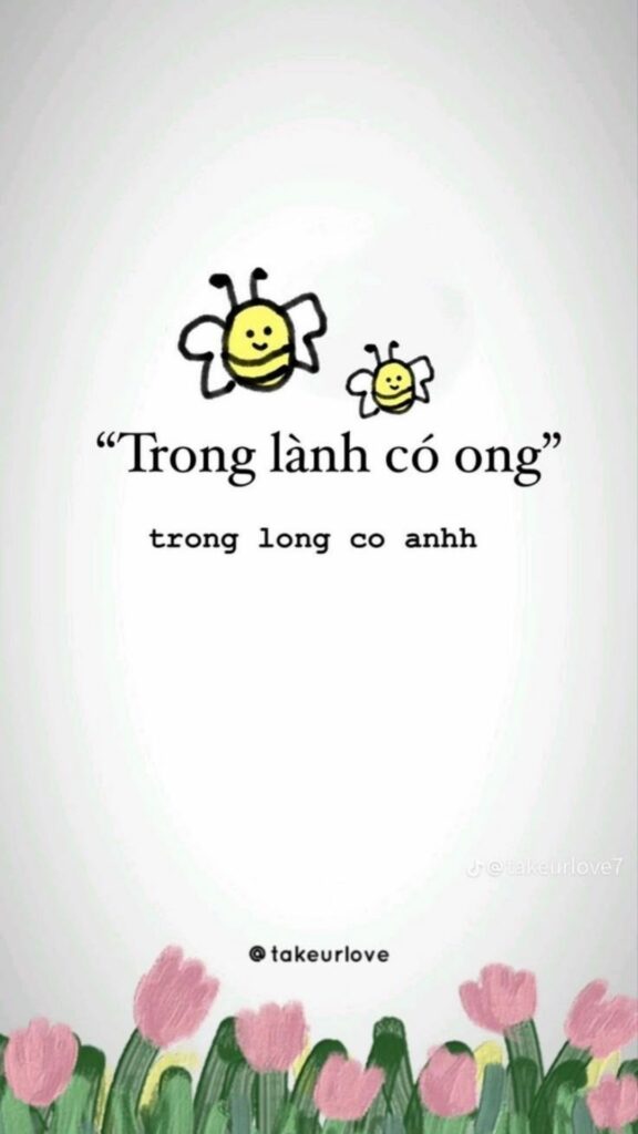 hinh nen cute co chu 39