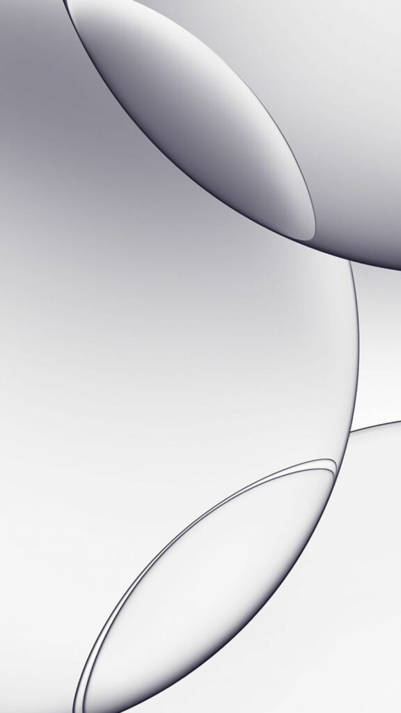 Sự hòa quyện tuyệt vời giữa sắc bạc và xám