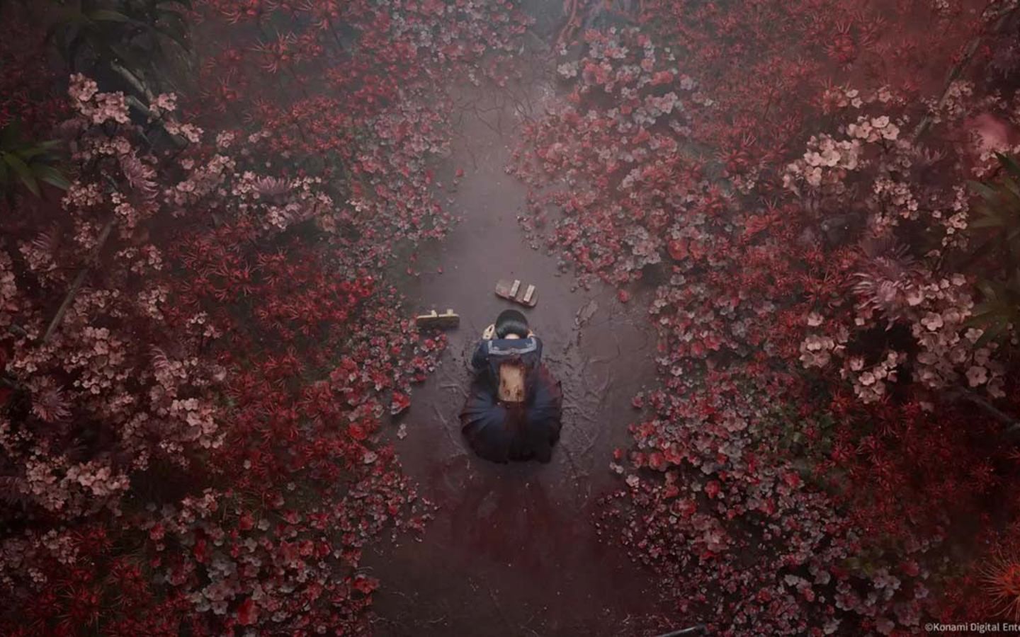 Silent Hill f đã chứng tỏ được sức cạnh tranh của mình trên thị trường game