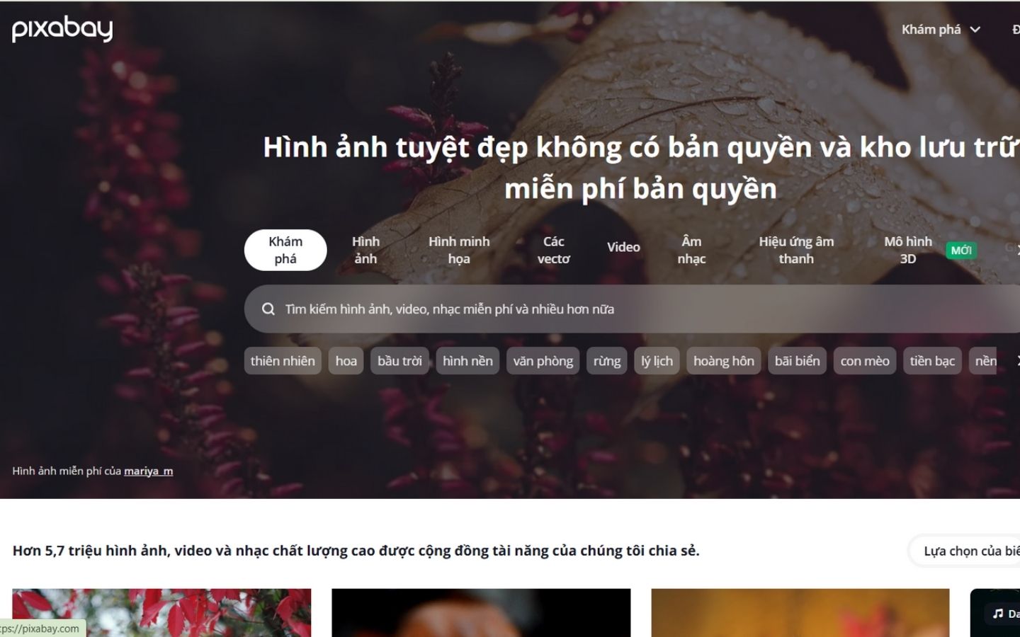 Toàn bộ hình ảnh xuất hiện trên Pixabay đều được cấp phép bởi Creative Commons Zero. 