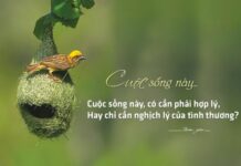 Tổng hợp những câu nói hay ngắn gọn, ý nghĩa trong cuộc sống