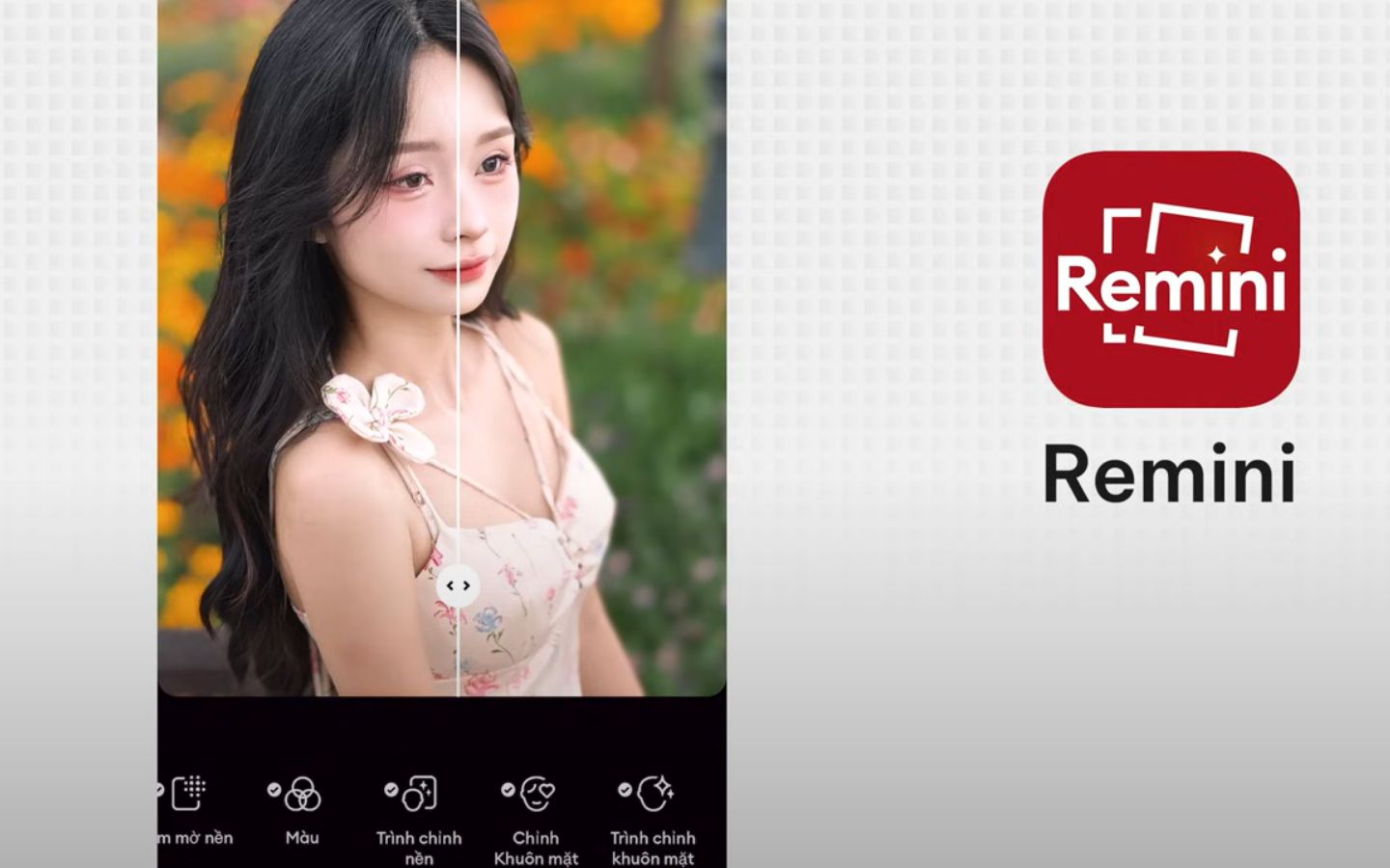 Giao dien ung dung Remini