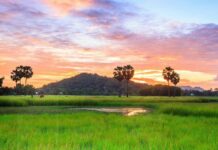 Tuyển tập những bài thơ về quê hương, đất nước ý nghĩa và sâu lắng bài thơ về quê hương