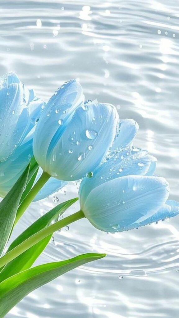 Tulip xanh dưới làn nước trong