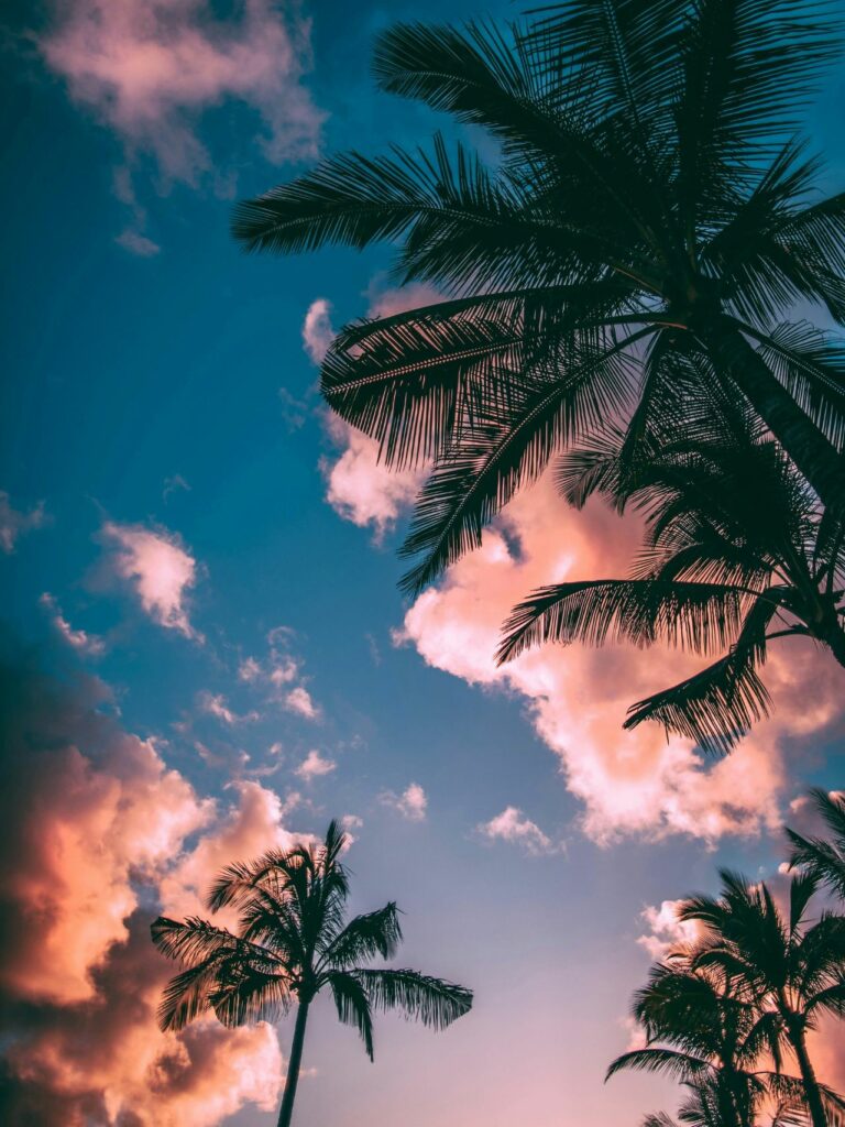 Tổng hợp 80+ hình Nền iPad 4K đẹp nhất 2025 miễn phí 47 Thiên đường biển dừa hồng