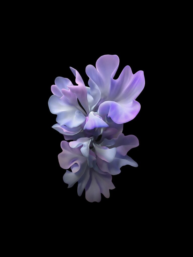 Tổng hợp 80+ hình Nền iPad 4K đẹp nhất 2025 miễn phí 54 Bông hoa tím nền đen