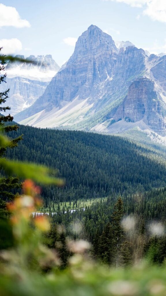 Đỉnh núi tuyết trắng cao vời vợi giữa trời xanh