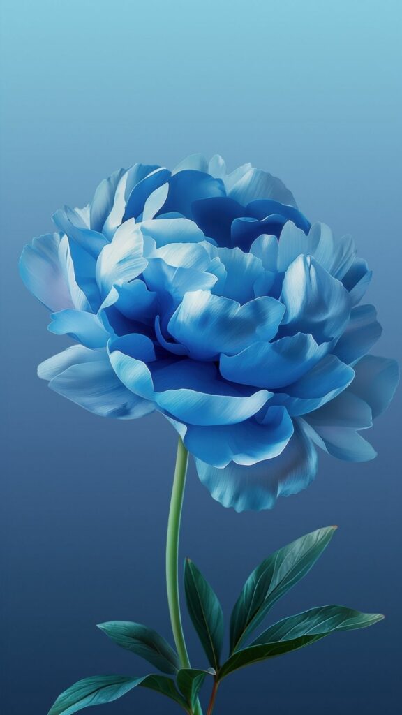 Bông mẫu đơn xanh biếc, vẻ đẹp thanh tao và huyền bí