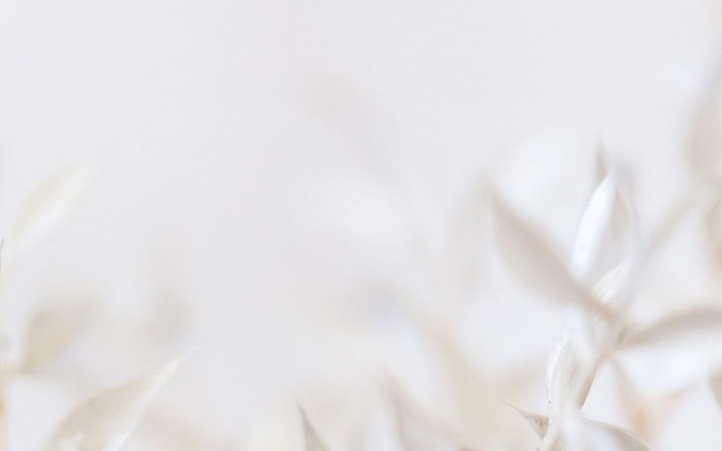 Ảnh nền màu trắng cho máy tính với họa tiết chìm