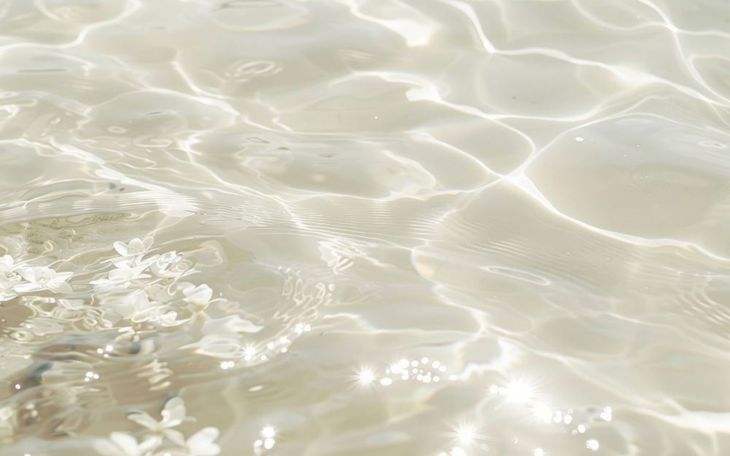 Ảnh nền màu trắng cuốn hút, siêu đẹp