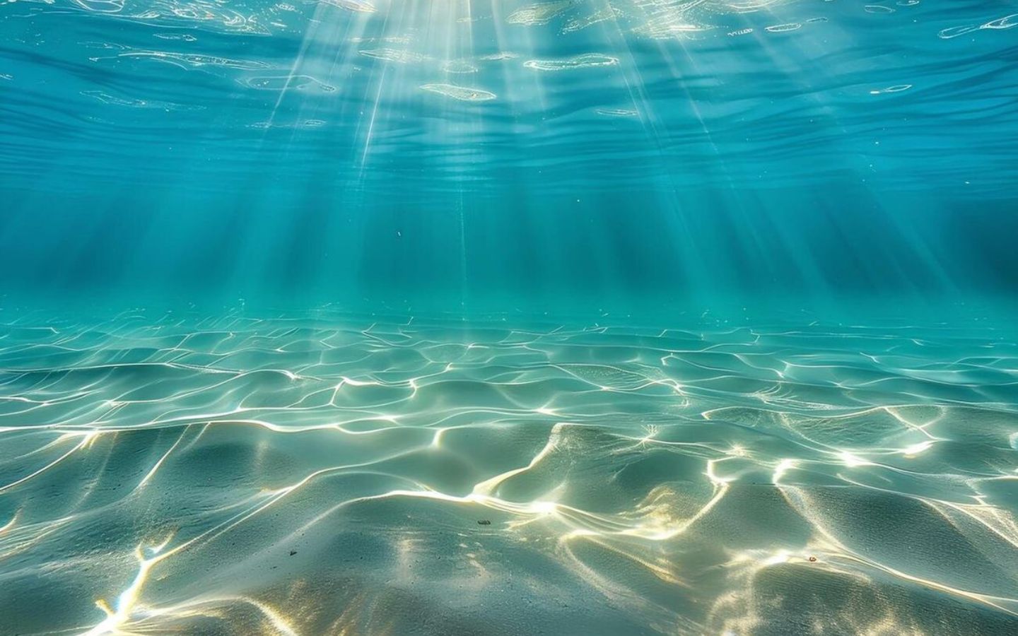 Hình nền màu xanh trắng với cảnh dưới đáy đại dương