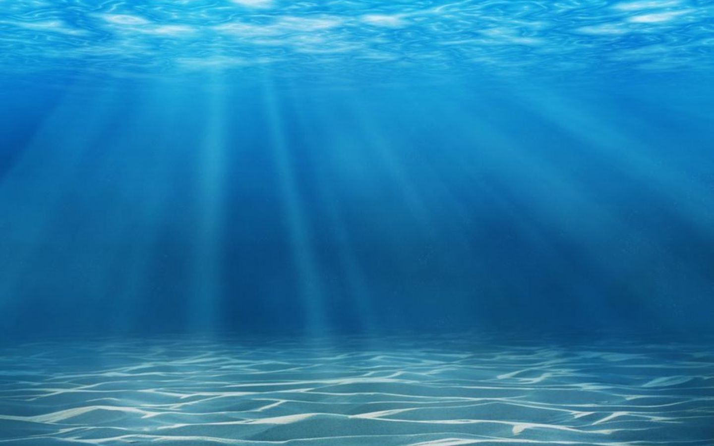 Cảnh đáy biển huyền bí