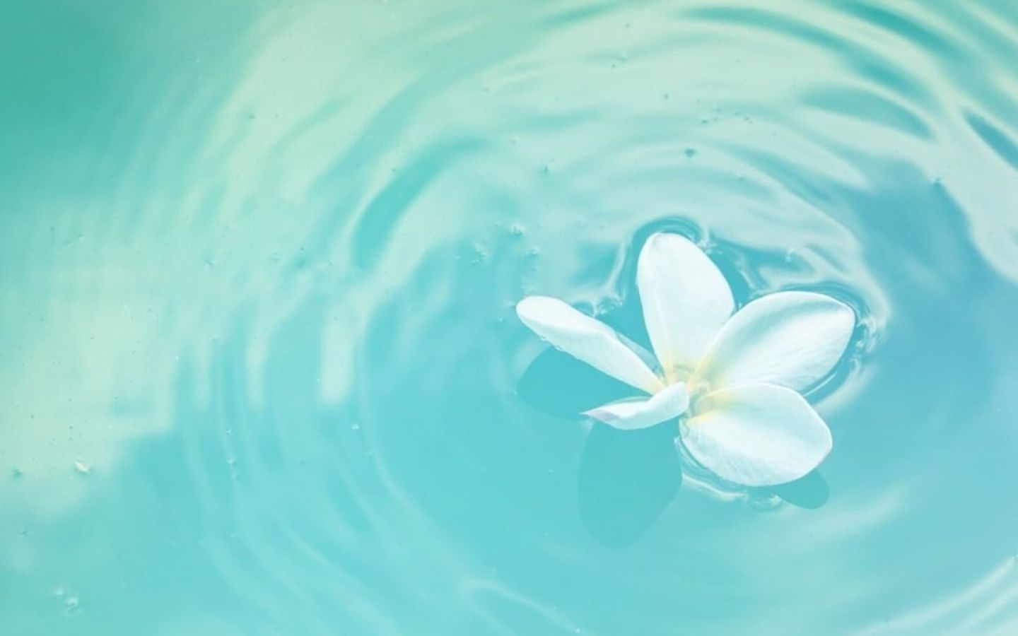 Hình nền trắng xanh siêu đẹp cho máy tính